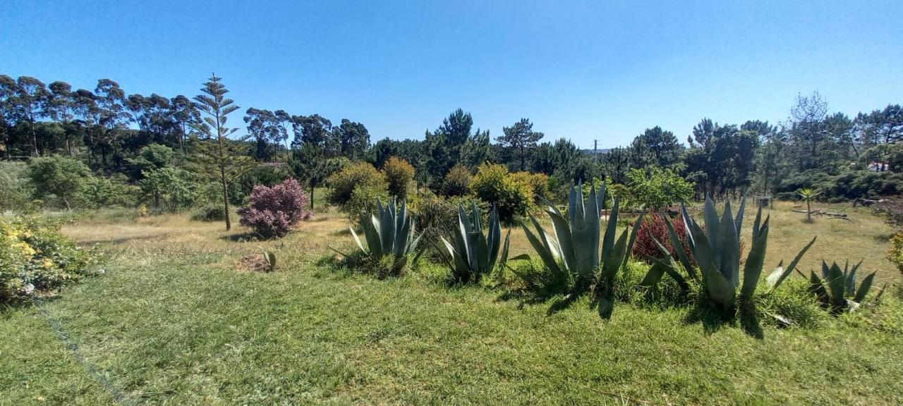 Villa Monte Da Urze Aljezur - Agroturismo Exterior foto