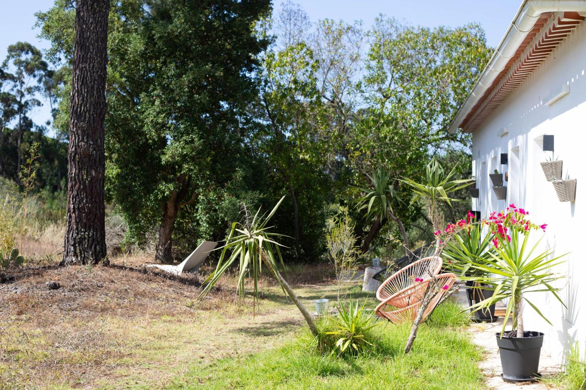 Monte Da Urze Aljezur - Agroturismo Exterior foto